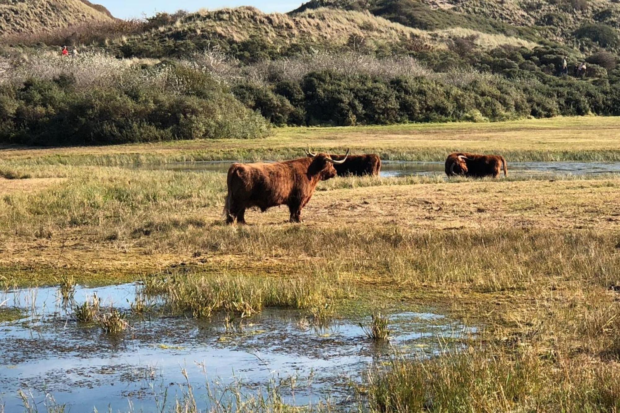 KUST Zandvoort Buitenkant foto